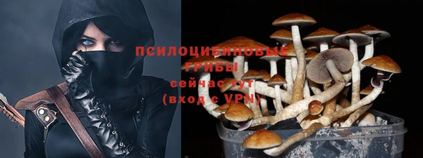наркотики Алексин